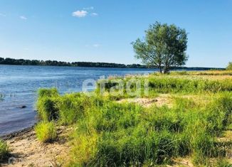 Земельный участок на продажу, 32 сот., рабочий посёлок Некрасовское, Советская улица, 84