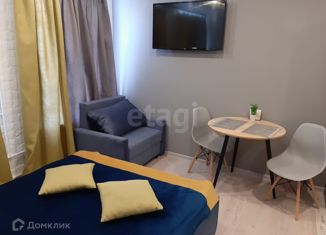 Продается квартира студия, 16.1 м2, Санкт-Петербург, переулок Талалихина, 7