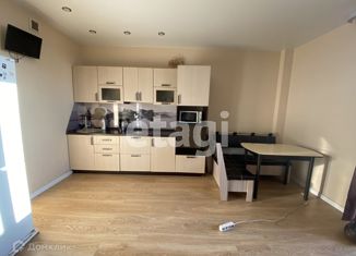 Сдам в аренду 1-комнатную квартиру, 33 м2, Тюмень, Верхнетарманская улица, 5, ЖК Новый Мыс 2.0