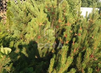 Дом на продажу, 20 м2, СНТ Ветеран, Абрикосовая улица