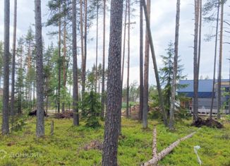 Продам земельный участок, 10 сот., поселок Пески, Брусничная улица