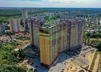 1-комнатная квартира на продажу, 41.42 м2, Воронеж, улица Суворова, 122А, Северо-Восточный жилой район