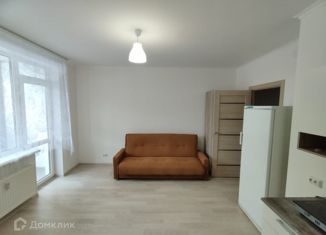 Продаю квартиру студию, 27.41 м2, Мурино, Ручьёвский проспект, 3к2, ЖК Мурино Парк