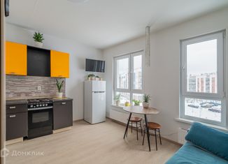 Продается квартира студия, 24.5 м2, посёлок Мичуринский, Широкореченская улица, 58к6