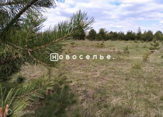 Продам земельный участок, 10 сот., село Дубровичи