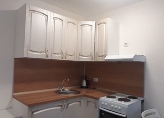 Сдача в аренду квартиры студии, 29 м2, посёлок Парголово, улица Николая Рубцова, 3