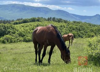 Продается земельный участок, 170 сот., село Плотинное, Школьная улица