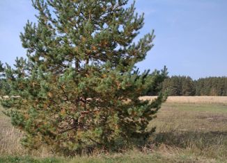 Продажа участка, 8 сот., село Конобеево