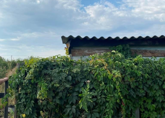 Участок на продажу, 5 сот., СНТ Голубка, улица 16-я Линия, 210