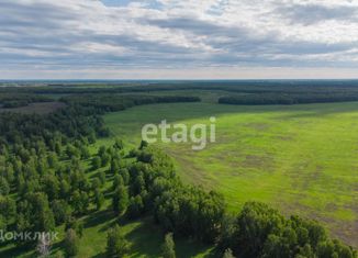 Продается земельный участок, 8.2 сот., село Каменка, Школьная улица