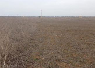 Продается участок, 10 сот., село Стерегущее, Береговая улица