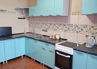 Сдам в аренду 1-комнатную квартиру, 43 м2, Воронеж, набережная Максима Горького, 49Б, ЖК Парк Горького