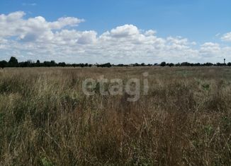 Продается участок, 7.5 сот., село Михайловка