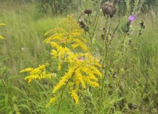 Продаю земельный участок, 10 сот., село Климовское