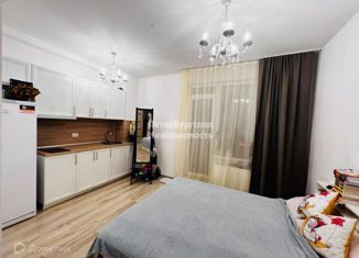 Продам квартиру студию, 23.02 м2, Санкт-Петербург, Парфёновская улица, 14к1, метро Фрунзенская