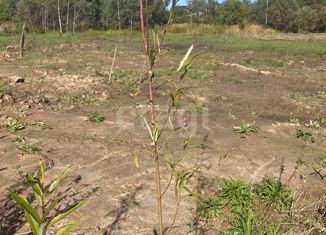 Продажа земельного участка, 18 сот., село Виноградовка