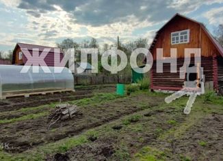 Продажа дома, 60 м2, село Новолуговое