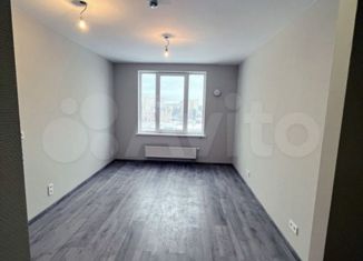 Продаю квартиру студию, 23.8 м2, Санкт-Петербург, Витебский проспект, 99к1, метро Купчино