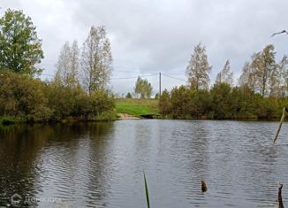 Продам земельный участок, 10 сот., деревня Ретюнь