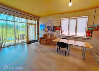 Продается дом, 91.7 м2, село Озёрки, Берёзовая улица, 10