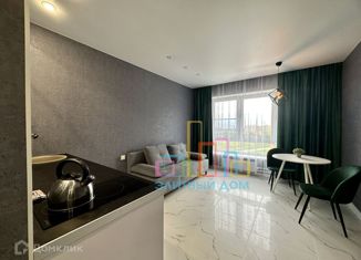 Продается 1-ком. квартира, 20 м2, Москва, улица Вертолётчиков, 21к5, метро Некрасовка