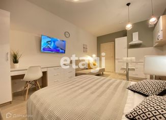 Продаю квартиру студию, 24.7 м2, Санкт-Петербург, 5-й Предпортовый проезд, 2, 5-й Предпортовый проезд