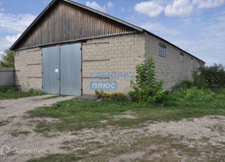 Продам офис, 1213 м2, поселок городского типа Шемышейка