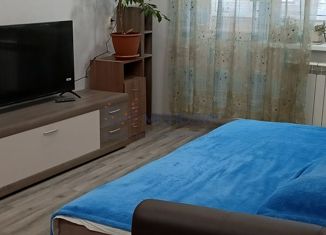 Продажа двухкомнатной квартиры, 44.3 м2, Нижний Новгород, Лубянская улица, 6, метро Буревестник