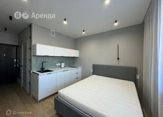 Сдам квартиру студию, 24 м2, Краснодарский край, улица Константина Гондаря, 103