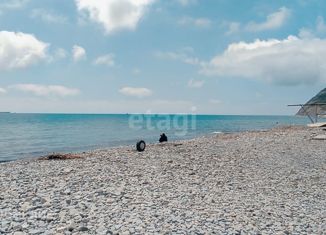 Продажа квартиры студии, 23.4 м2, село Южная Озереевка, улица Свободы, 69