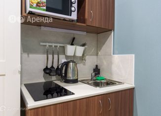 Сдается квартира студия, 14 м2, Санкт-Петербург, 7-я Красноармейская улица, 19