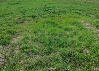 Продажа участка, 12 сот., деревня Колюпаново, 5-й Родниковый проезд