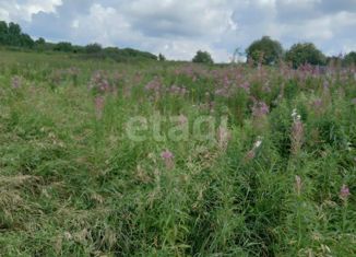 Продаю участок, 36 сот., село Раскатиха, улица Ленина