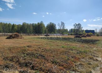 Земельный участок на продажу, 47 сот., деревня Большое Таскино, улица Саляма Галимова, 4