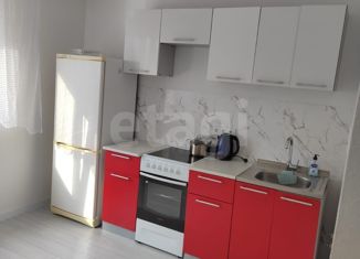 Сдается 2-комнатная квартира, 50 м2, Тюмень, улица Новосёлов, 107