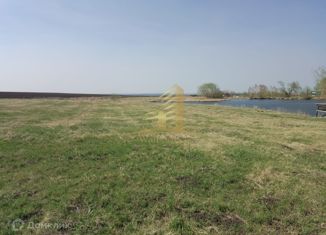 Продажа участка, 550 сот., село Новотырышкино