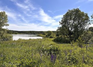 Продаю дом, 825 м2, деревня Чабышево, Лесная улица