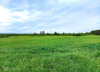 Продам участок, 648 сот., деревня Корза