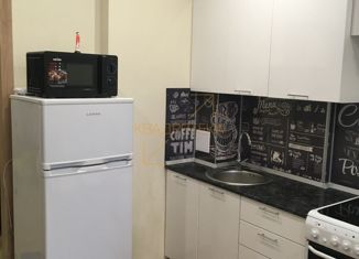 Продажа квартиры студии, 30.1 м2, Новосибирск, улица Ясный Берег, 16, ЖК Ясный Берег