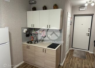 Продам квартиру студию, 22 м2, посёлок Садовый, микрорайон Околица, 2