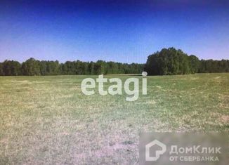 Продам земельный участок, 4 сот., село Большое Чаусово