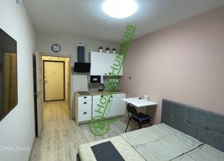 Квартира на продажу студия, 22.1 м2, Санкт-Петербург, Политехническая улица, 6, метро Площадь Мужества