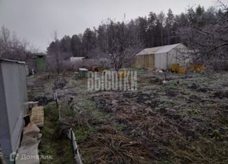 Продажа участка, 8 сот., СНТ Бызгун, СНТ Бызгун, 157