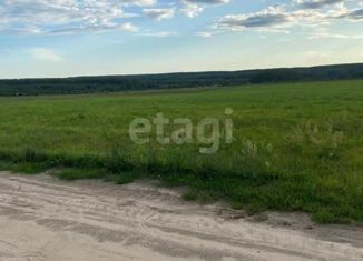 Продается земельный участок, 6000 сот., Нижегородская область