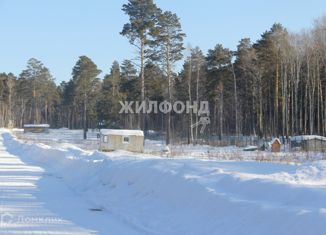 Продаю участок, 8 сот., садоводческое товарищество Лесная Дача