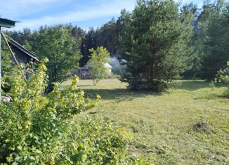 Дом на продажу, 40 м2, деревня Пласкинино, Нагорная улица, 18