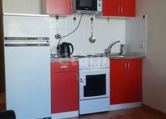 Сдаю квартиру студию, 19 м2, Новосибирск, Березовая улица, 19, Березовая улица