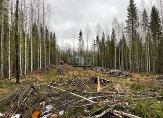 Участок на продажу, 15.43 сот., Сыктывкар, Эжвинский район