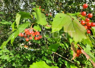 Продаю дом, 53 м2, деревня Рудаково, деревня Рудаково, 12