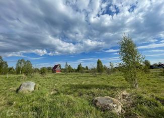 Продам земельный участок, 10 сот., деревня Сельцо, деревня Сельцо, 61